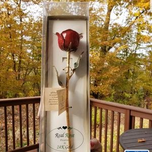 Rose covered in 24K Gold